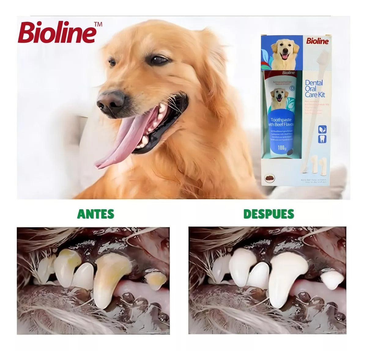 Set Cuidado Dental Bioline para tu Perro