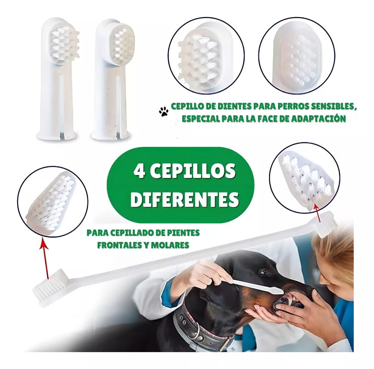 Set Cuidado Dental Bioline para tu Perro