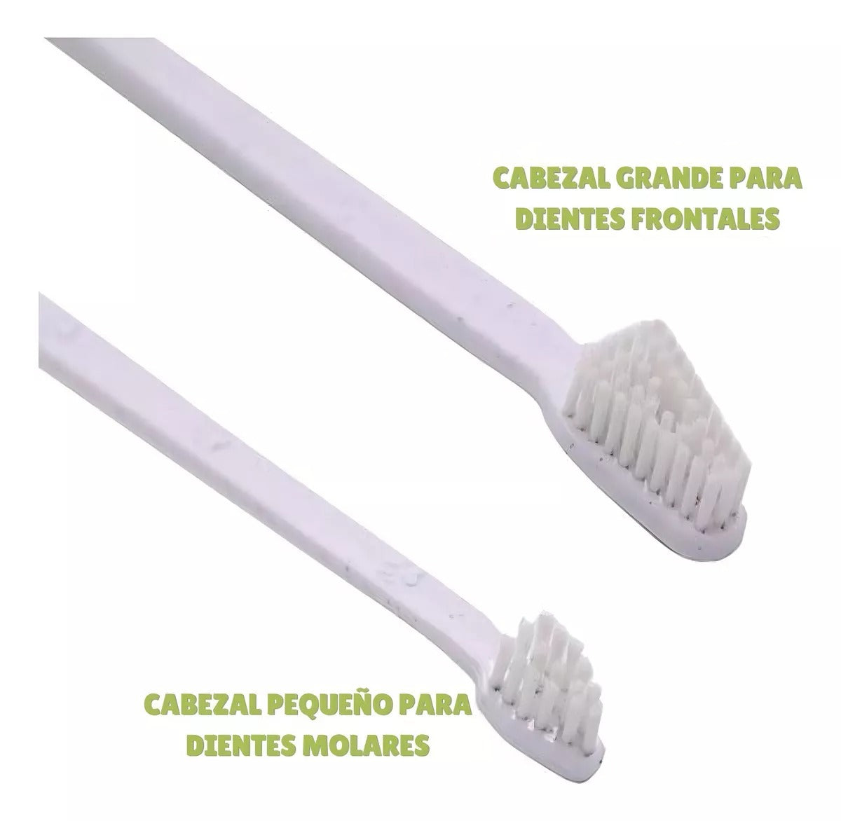 Set Cuidado Dental Bioline para tu Perro