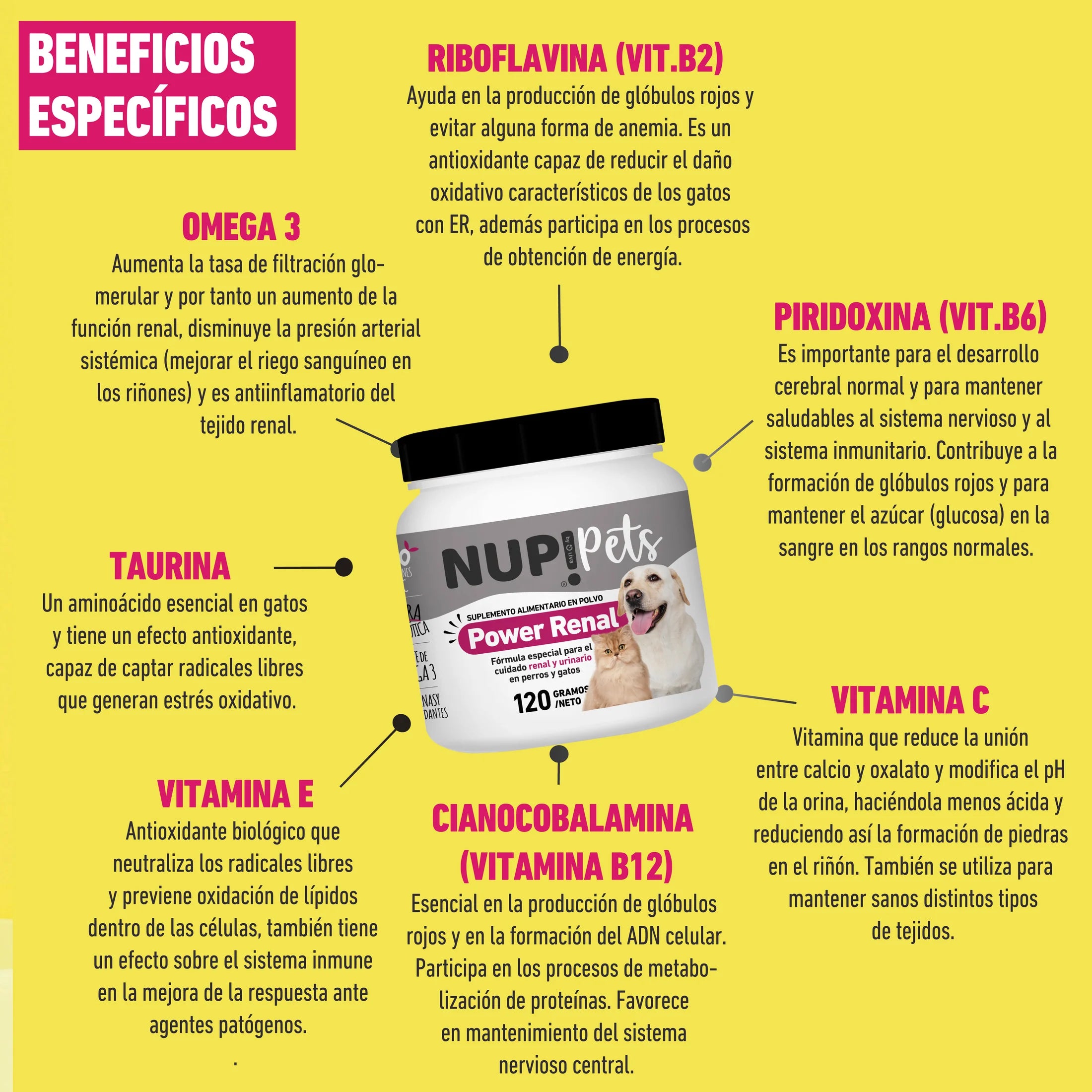 NUP! | Power Renal 120 gramos, NUP Pets