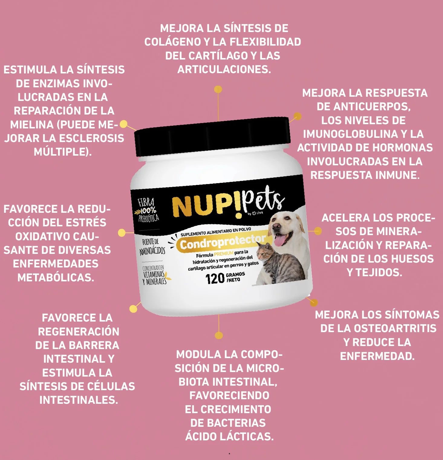 NUP! | PETS CONDROPROTECTOR